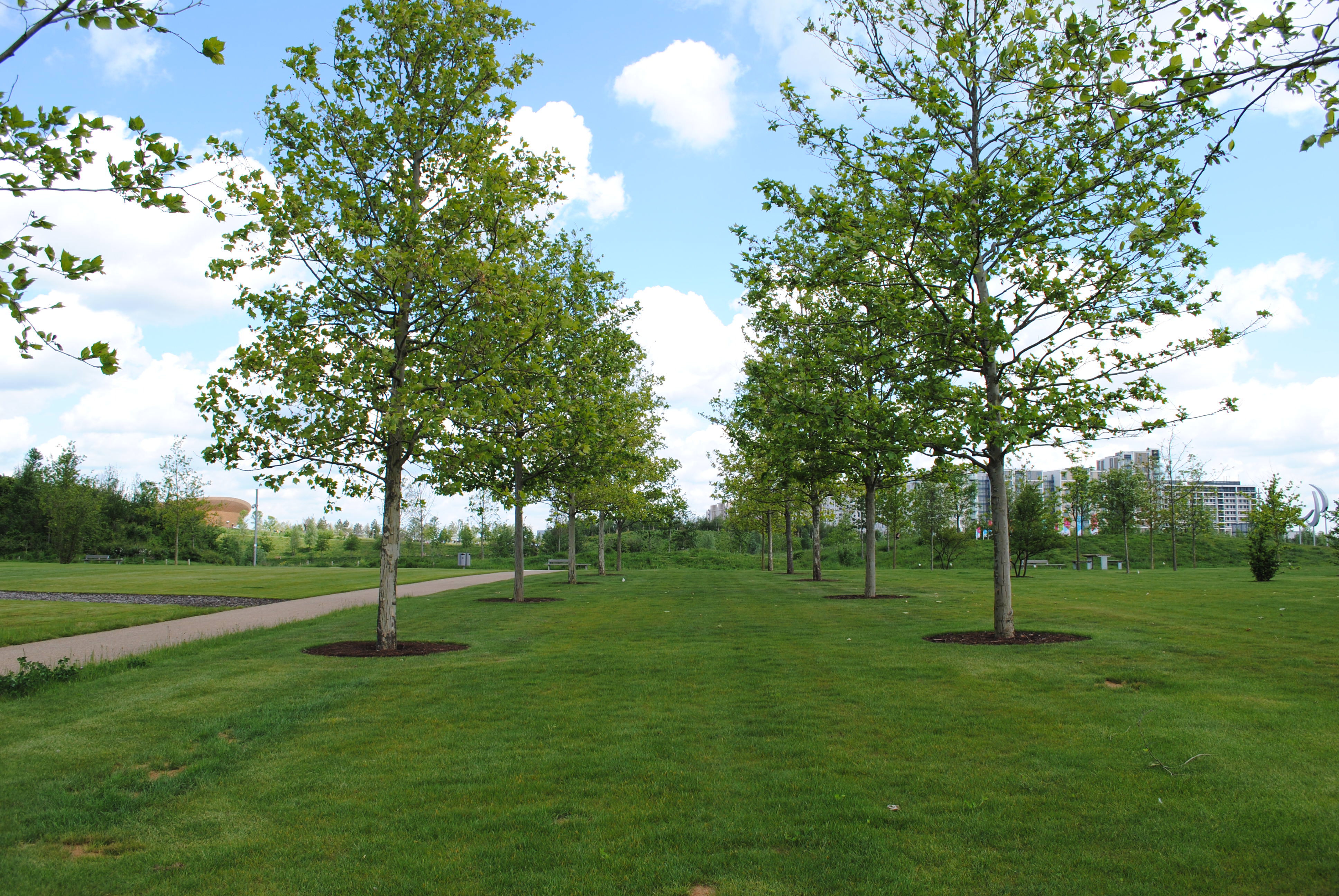 Queen Elizabeth Olympic Park Legacy Transformation | Frosts Landscapes