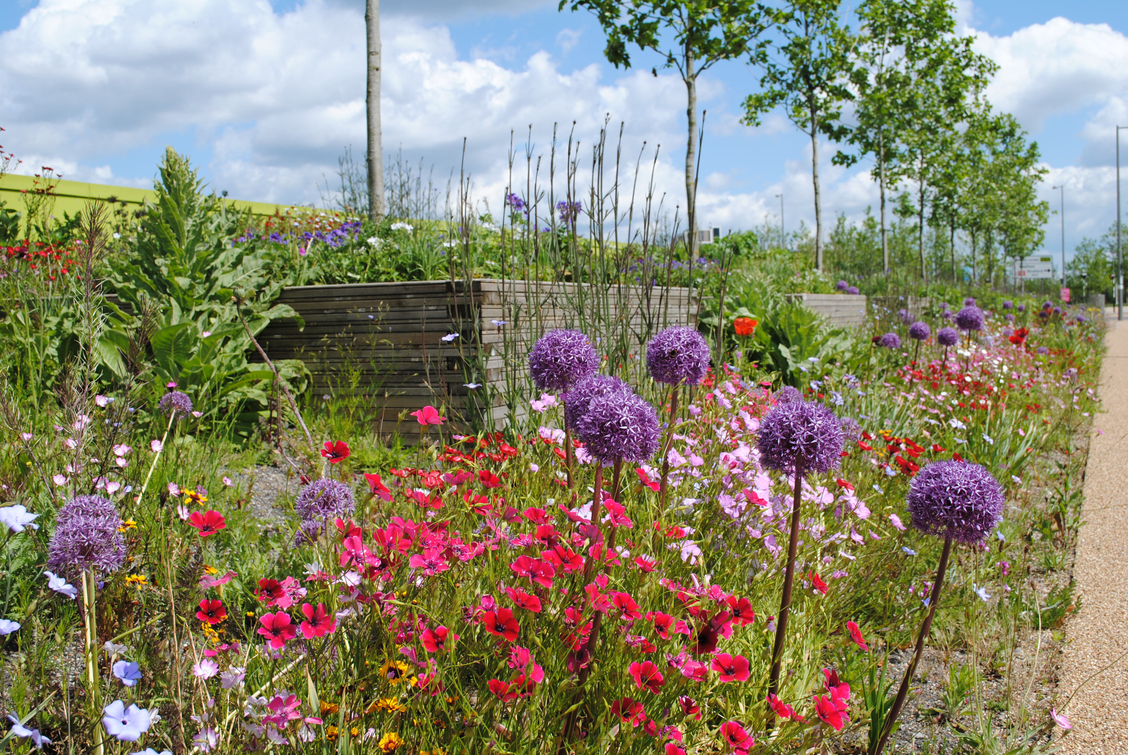 Queen Elizabeth Olympic Park Legacy Transformation | Frosts Landscapes